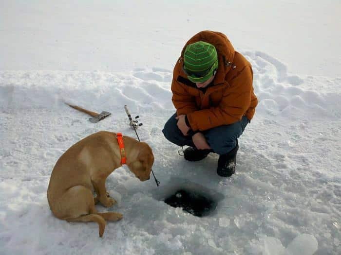 Ice fishing casino in United Kigdom